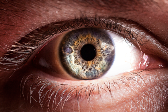 Alimentos para Saúde dos Olhos: Nutrição que Protege sua Visão